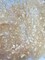 1 Yard Champagne 3D Butterfly Mesh Fabric with Satin Appliqué on Stretch Sheer Base 54 Inch Wide